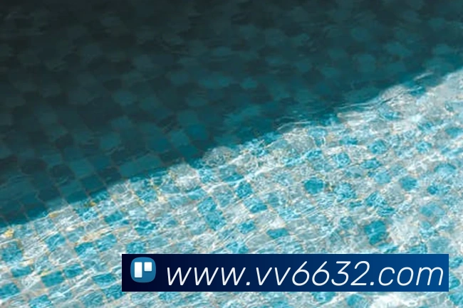 v66服务体系